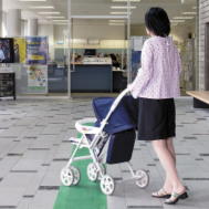 �قǂ�����̃x�r�[�J�[�̒ʉ߉摜