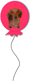ACRJ[h̏ЉւǂI