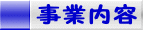 ���Ɠ��e