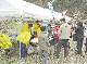 島根町・桜祭りH18/04/09