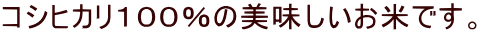 �R�V�q�J���P�O�O���̔����������Ăł��B
