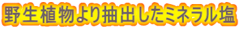 �쐶�A����蒊�o�����~�l������